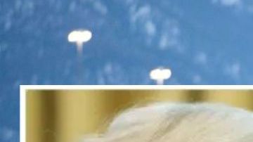 Chapo, Ovidio Guzmán y Donald Trump