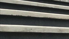 Christo Vela llegó este año con los tapatíos.