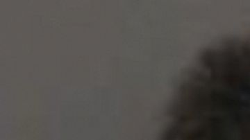 Combo de fotos de Michelle Louise Kolts y las bombas ocupadas.