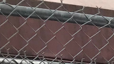 Audrey Hamblin y Neymar Campbell (izq.) y Pedro Genao y Angel González, en las fotos durante los eventos de la semana pasada de NY State of Health en Queens.