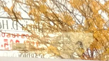 Janeth Cuzco  (izq.) y Elian Panama con Vanesa Parapi, Benathy y Bethany Panama, en las fotos durante los eventos de la semana pasada de NY State of Health en Queens.