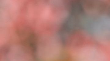 El León se aferra a José Juan Macías.