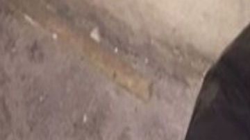 Encuentran cabeza humana en bolsa