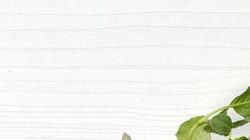 Los quelites son un ingrediente que aporta personalidad a diversos platillos mexicanos, aportando olores, sabores y texturas que aportan un sabor inconfundible. Destacan por su alto contenido en vitaminas, minerales, antioxidantes y fibra.