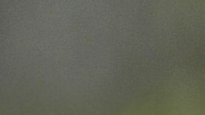 El alcalde de Montgomery, Steven Reed señaló que dispararon más de 300 balas.