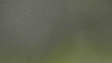 El alcalde de Montgomery, Steven Reed señaló que dispararon más de 300 balas.