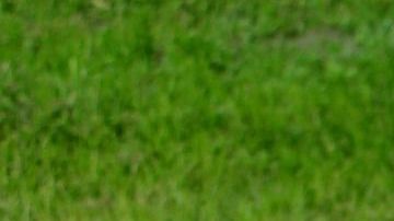 Exhumarán el cadáver para dar con la identidad del 'hombre de Somerton'.