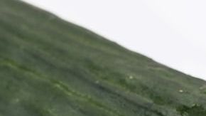 Realizar cambios en los hábitos alimenticios es de gran ayuda, evita el consumo de alimentos ricos en sodio, realiza actividad física regularmente y consume bebidas diuréticas naturales.