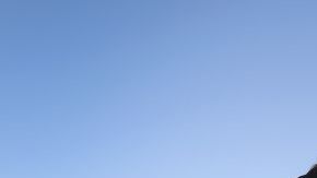 'La Migra' no sabe donde enviar a estos solicitantes de asilo.