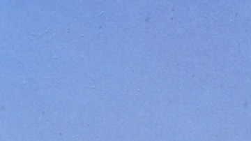 Dolores Gonzáles impuso la moda en los 50.