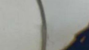 El Chapito asiste a funeral