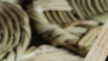 Las gorditas son tan populares en México, que las encontrarás en cada puesto de la esquina. Forman parte de las costumbres y tradiciones del pueblo mexicano, son accesibles para todo bolsillo y deliciosas.