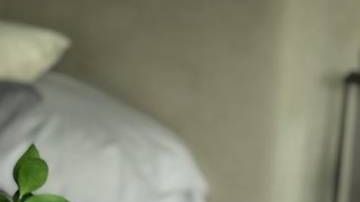 Erika Zaba y Francisco Ontiveros