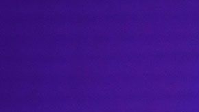 Mark Zuckerberg es el presidente de Facebook./Archivo