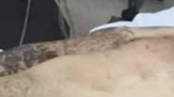 Fue el CJNG y no Los Chapitos quienes quemaron a familia uno de los sicarios terminó así