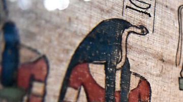 Será hasta el 19 de octubre cuando se den más detalles de este hallazgo.