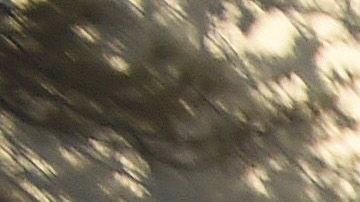 La ciudad de Paradise quedó destruida en el Camp Fire.