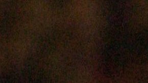 A Claudio Caniggia le hubiera gustado jugar para Cruz Azul.