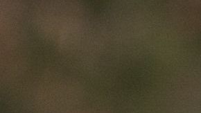 El mexicano anunció en redes sociales el nacimiento de su hija.