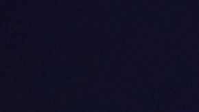 Tucker Carlson ha respaldado las políticas del presidente Trump.