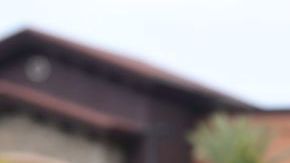 Son 3 tipos de carnes congeladas las contaminadas con salmonella.