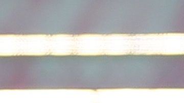 El Tricolor se prepara de cara a la Nations League de CONCACAF.