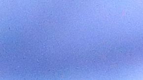 El boxeador está enfocado en su carrera profesional.