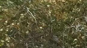 Protesta contra el presidente de Honduras fuera del tribunal federal de Manhattan, donde su hermano "Tony" Hernández es juzgado.