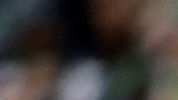 Nueva Inglaterra y San Francisco no han perdido en la campaña.