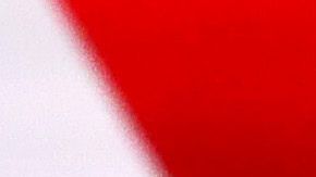 El emprendedor demócrata se aprovechó del eslogan de Trump (MAGA) y lo hizo suyo.