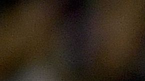 Los New England Patriots pasaron por aplastaron 0-33 a los New York Jets.