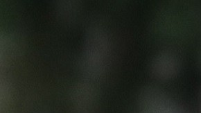 El tentiente coronel Alexander Vindman rindió testimonio ante la Cámara.