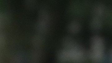 El tentiente coronel Alexander Vindman rindió testimonio ante la Cámara.