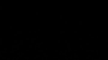 'Canelo' Álvarez se llevará una gran suma de dólares por subir al ring contra Kovalev.