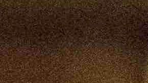 El ex presidente Jimmy Carter.