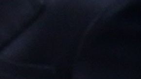 Los invitados no pudieron acceder con sus celulares al evento.