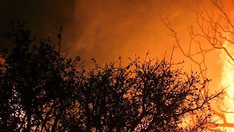 Muchos latinos se han visto afectados por los incendios forestales en California.