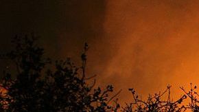 Los fuertes vientos provocan los incendios forestales.