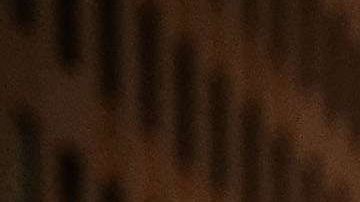 Una sola amenaza verbal con reportar a alguien a las autoridades migratorias se clasifica como un delito.