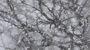 Illinois será una de las entidades más afectadas.