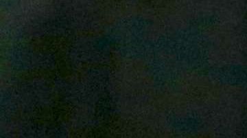 Nikolas Cruz en la corte.