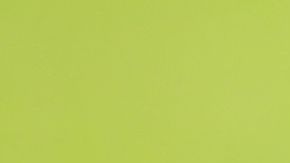 El técnico es candidato a dirigir a los Rayados