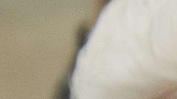 Ftografía de archivo de una de las múltiples muestras de apoyo a los jóvenes "soñadores".