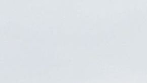 Trump ha sido insistente en la construcción del muro fronterizo.