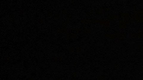 'Why We Hate' ahonda en ideologías divisivas del pasado y del presente.