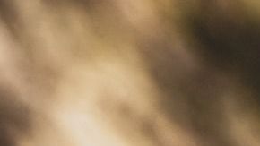 Un día después de su entierro, encontraron la tumba profanada.