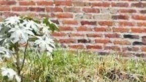 Los restos pertenecían a cuatro personas.