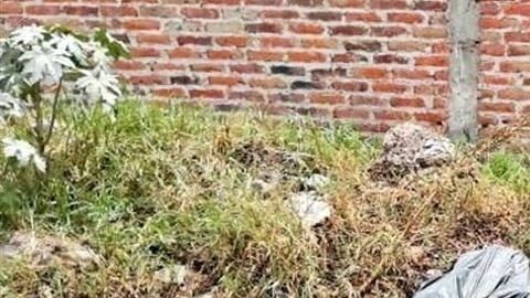 Los restos pertenecían a cuatro personas.