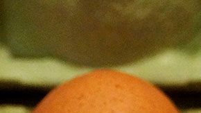 El costo no tiene que ver con los nutrientes que tiene cada tipo de huevo.