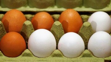 El costo no tiene que ver con los nutrientes que tiene cada tipo de huevo.